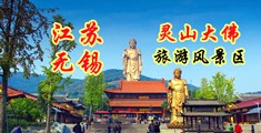 男的鸡鸡插女的逼网站江苏无锡灵山大佛旅游风景区